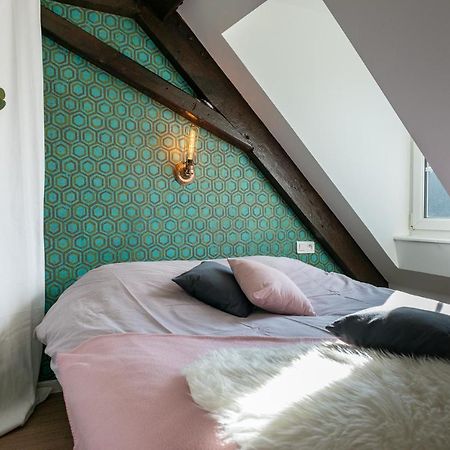 Strasbourg Mon Amour - Cozy - Rbnb المظهر الخارجي الصورة