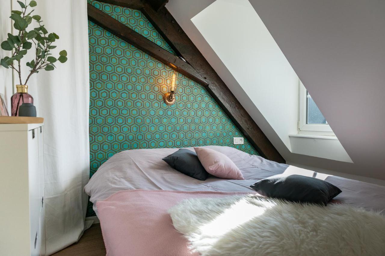 Strasbourg Mon Amour - Cozy - Rbnb المظهر الخارجي الصورة